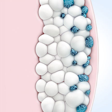 fat cells disappearing from fat tissue