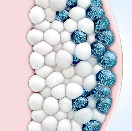 fat tissue with some fat cells being cooled